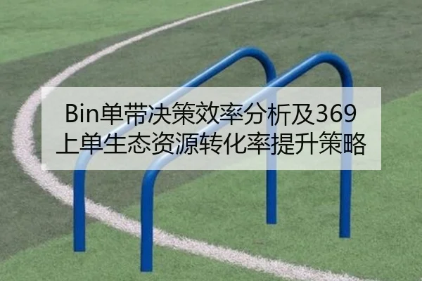 Bin单带决策效率分析及369上单生态资源转化率提升策略